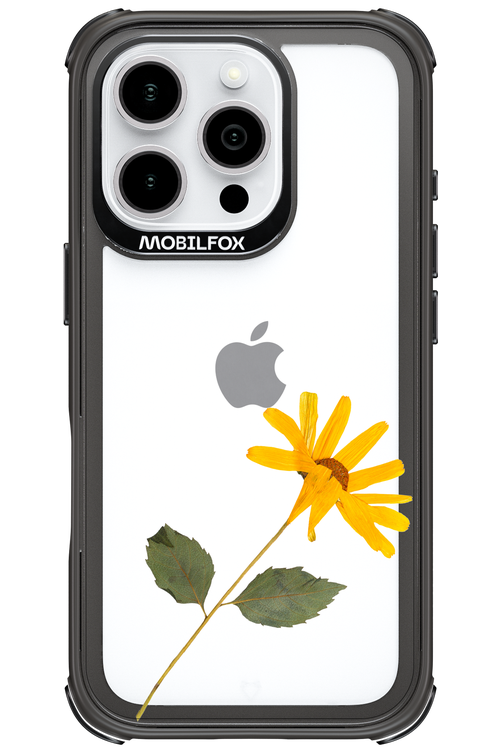 Pressed Flower - Apple iPhone 16 Pro
