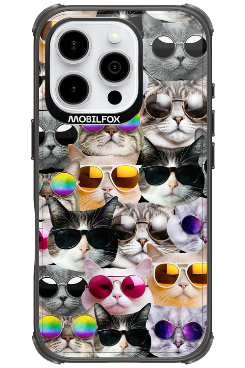Cat World - Apple iPhone 16 Pro