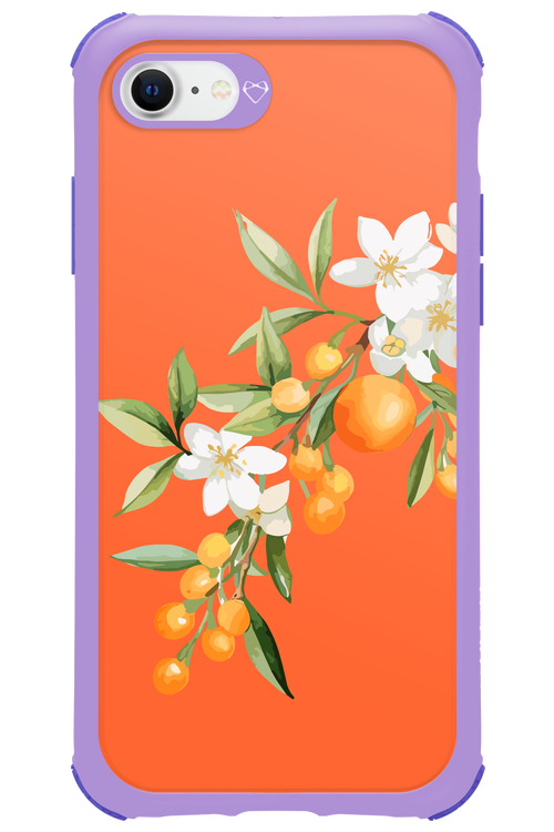 Amalfi Oranges - Apple iPhone SE 2022