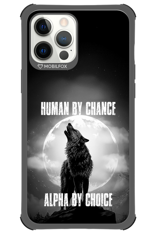 Alpha 2.0 - Apple iPhone 12 Pro Max