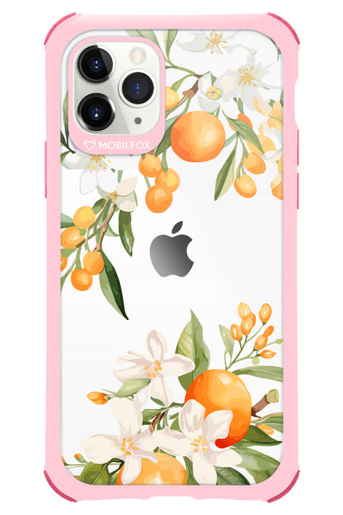 Amalfi Orange - Apple iPhone 11 Pro