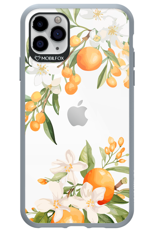 Amalfi Orange - Apple iPhone 11 Pro Max