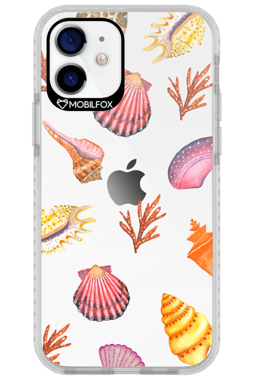 Sea Shells - Apple iPhone 12