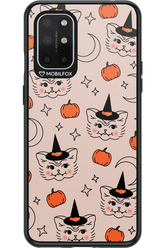 Kitty Spell - OnePlus 8T