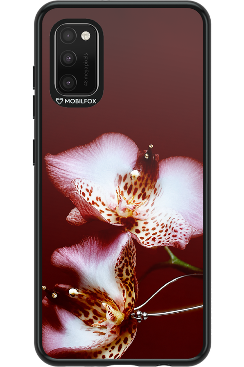 Leobloomy 2.0 - Samsung Galaxy A41