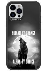 Alpha 2.0 - Apple iPhone 12 Pro