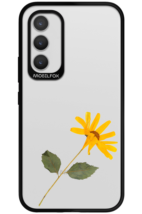 Pressed Flower - Samsung Galaxy A34