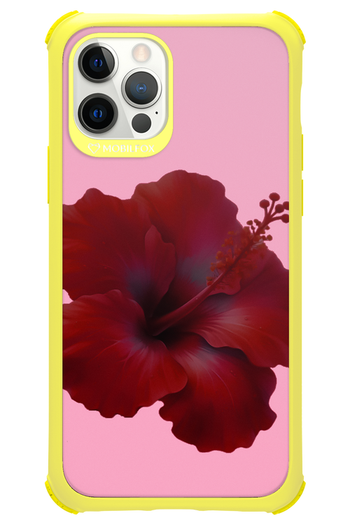 HibiGundy - Apple iPhone 12 Pro