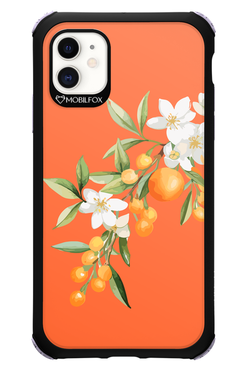 Amalfi Oranges - Apple iPhone 11