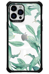 Greenpeace - Apple iPhone 12 Pro Max