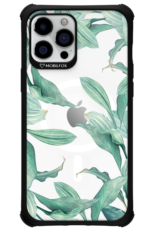 Greenpeace - Apple iPhone 12 Pro Max