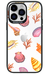 Sea Shells - Apple iPhone 14 Pro Max