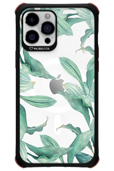 Greenpeace - Apple iPhone 12 Pro Max