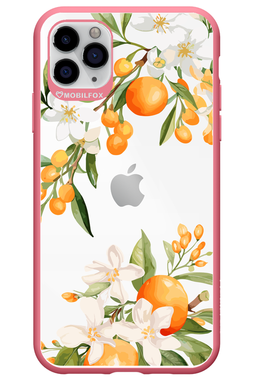 Amalfi Orange - Apple iPhone 11 Pro Max