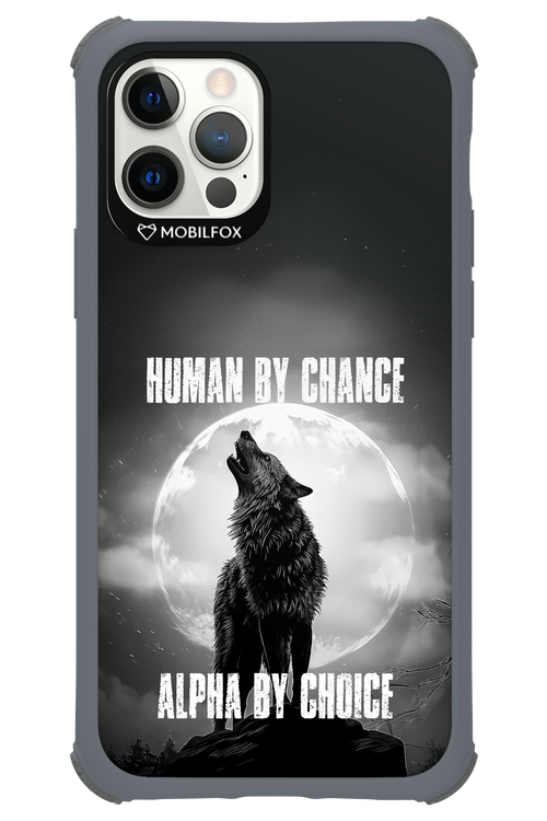 Alpha 2.0 - Apple iPhone 12 Pro