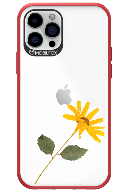 Pressed Flower - Apple iPhone 12 Pro