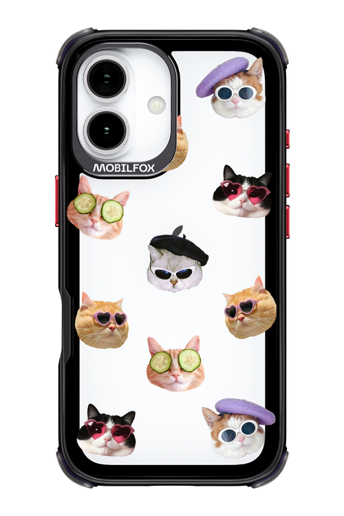 Cat Gang - Apple iPhone 17