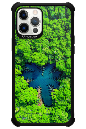 Amazon Echo - Apple iPhone 12 Pro Max
