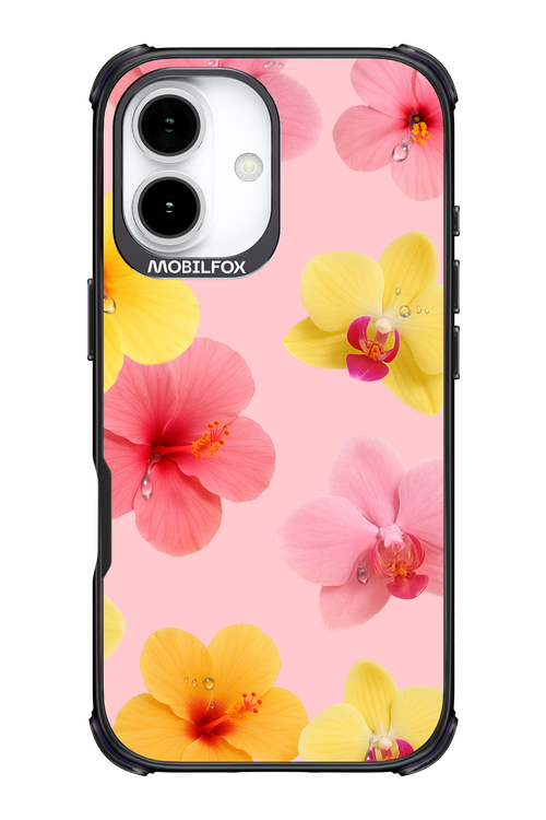 Sunset Flowers - Apple iPhone 17
