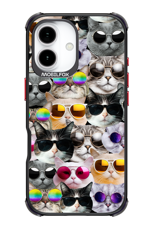 Cat World - Apple iPhone 17
