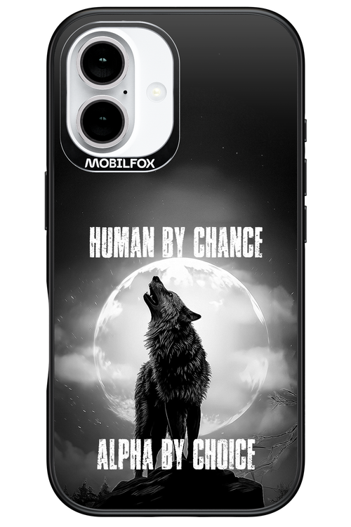 Alpha 2.0 - Apple iPhone 16