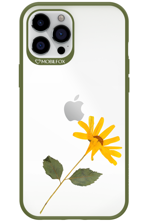 Pressed Flower - Apple iPhone 12 Pro Max