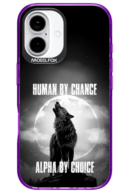 Alpha 2.0 - Apple iPhone 16