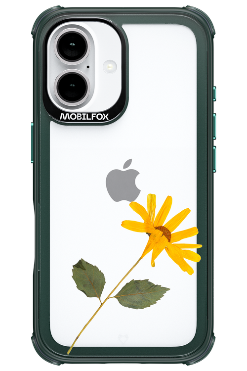 Pressed Flower - Apple iPhone 16