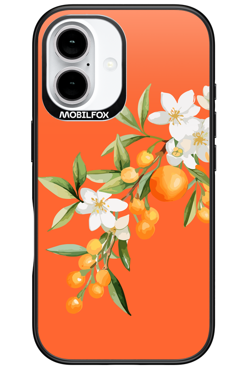 Amalfi Oranges - Apple iPhone 16