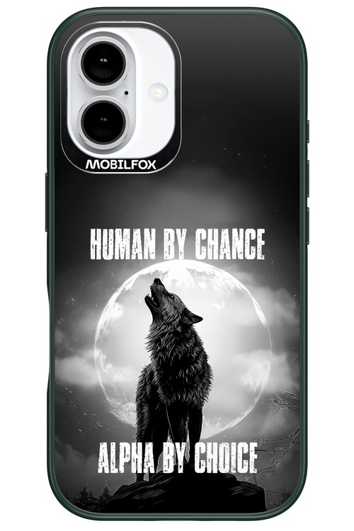 Alpha 2.0 - Apple iPhone 16