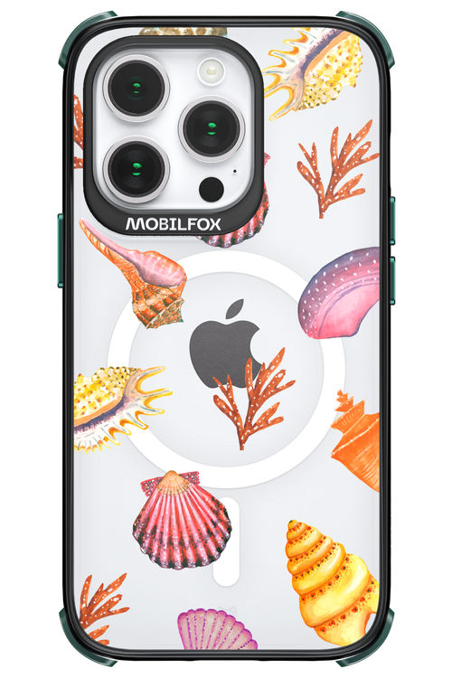 Sea Shells - Apple iPhone 14 Pro