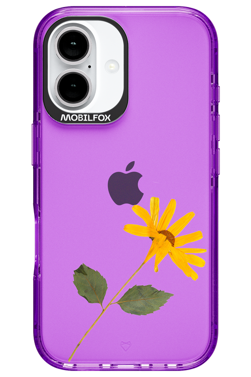 Pressed Flower - Apple iPhone 16