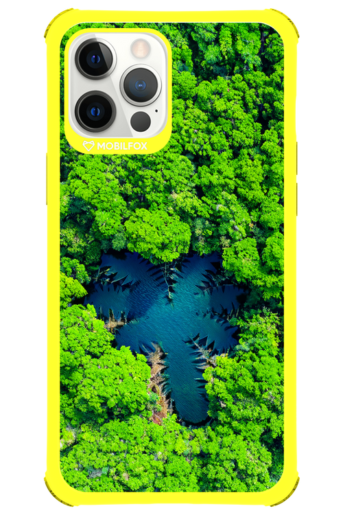 Amazon Echo - Apple iPhone 12 Pro Max
