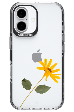 Pressed Flower - Apple iPhone 16