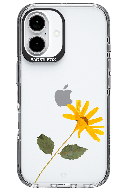 Pressed Flower - Apple iPhone 16