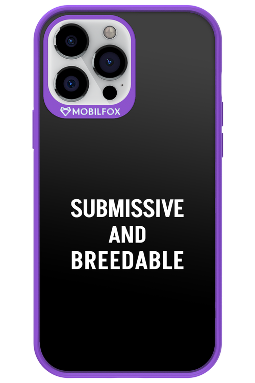 S&B 2.0 - Apple iPhone 13 Pro Max