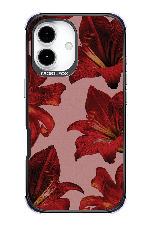 Amaryllis Mist - Apple iPhone 17