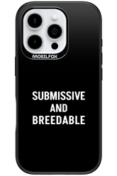 S&B 2.0 - Apple iPhone 16 Pro