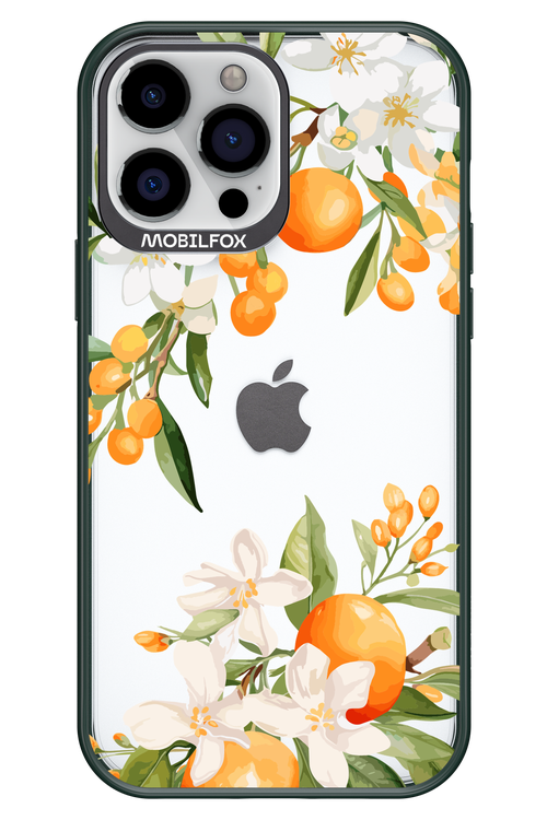 Amalfi Orange - Apple iPhone 13 Pro Max