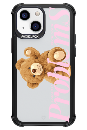 Problems - Apple iPhone 13 Mini