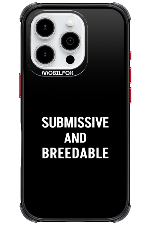 S&B 2.0 - Apple iPhone 16 Pro