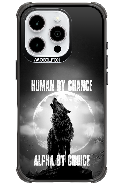 Alpha 2.0 - Apple iPhone 16 Pro