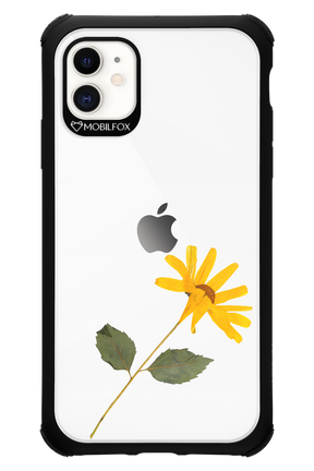 Pressed Flower - Apple iPhone 11