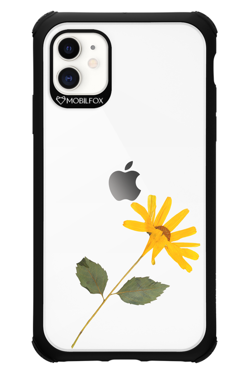 Pressed Flower - Apple iPhone 11