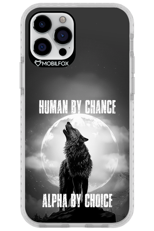 Alpha 2.0 - Apple iPhone 12 Pro