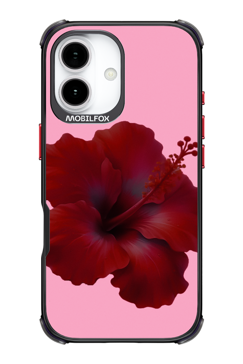 HibiGundy - Apple iPhone 17