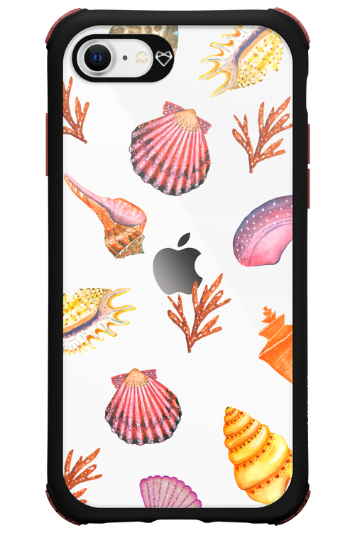 Sea Shells - Apple iPhone SE 2020