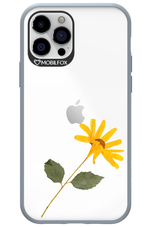 Pressed Flower - Apple iPhone 12 Pro