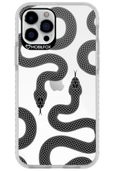 Snakes - Apple iPhone 12 Pro