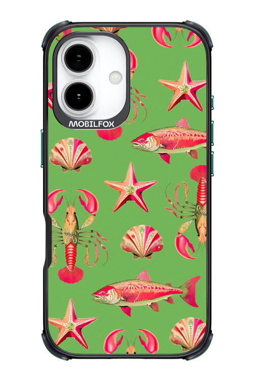 Sea Stars - Apple iPhone 17